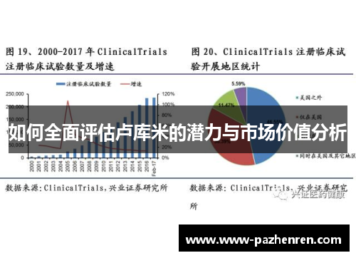 如何全面评估卢库米的潜力与市场价值分析