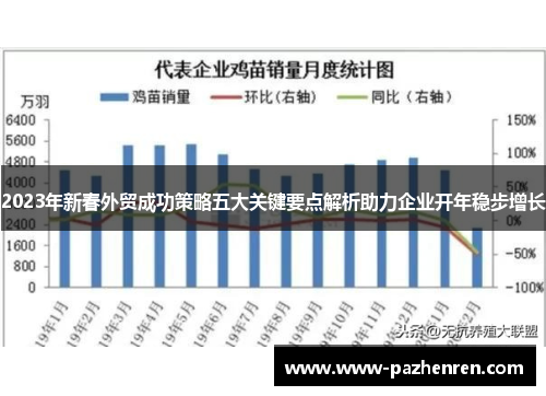 2023年新春外贸成功策略五大关键要点解析助力企业开年稳步增长